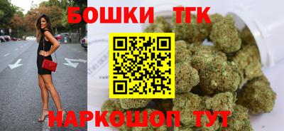 крисы Гагарин
