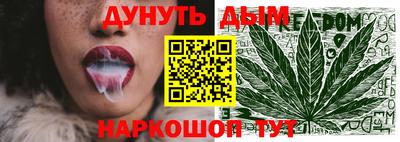 крисы Гагарин