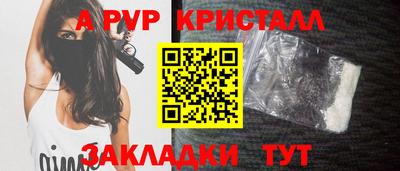 крисы Гагарин