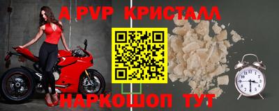 крисы Гагарин